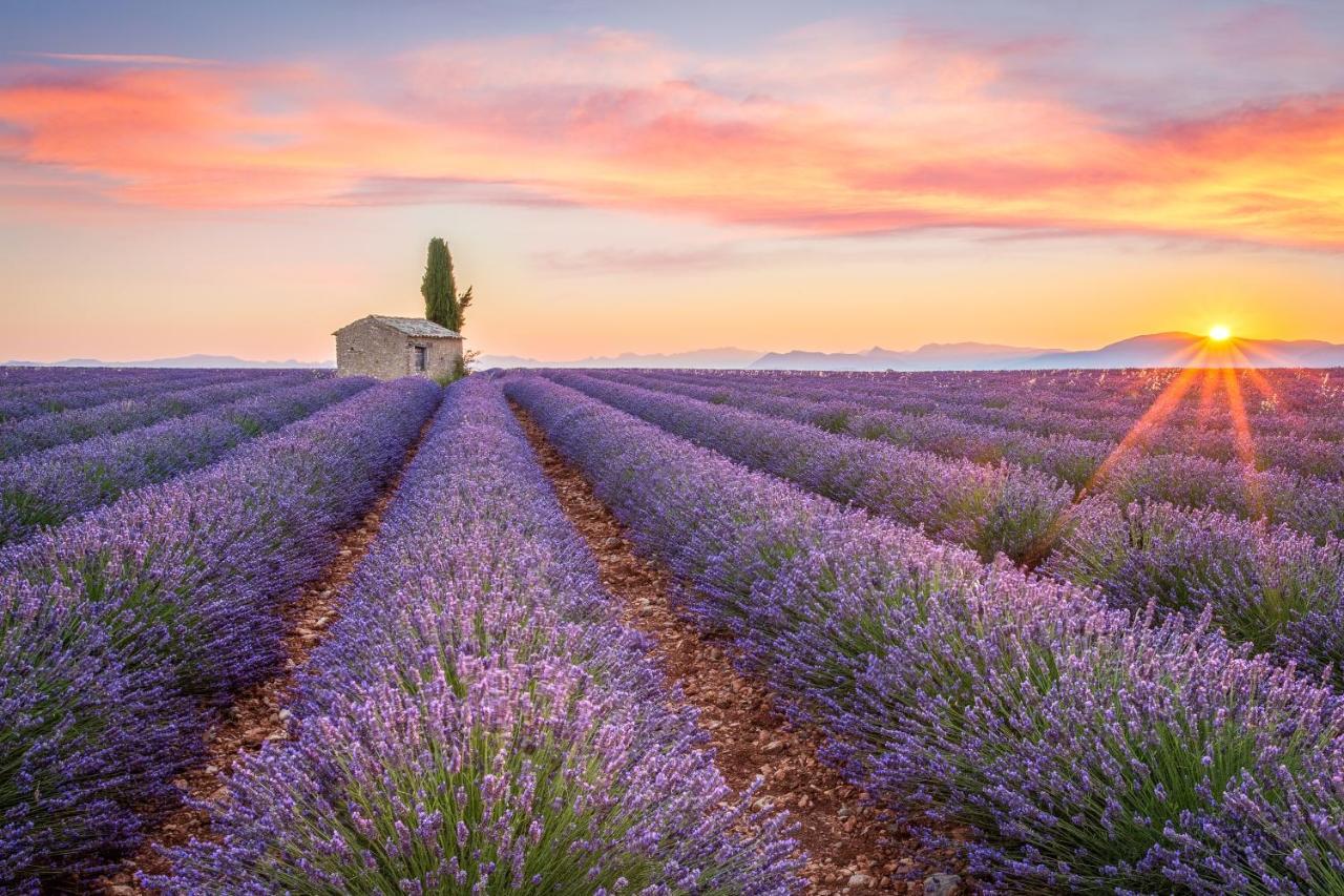 Provence Now Apartment Cabrières-dʼAvignon
