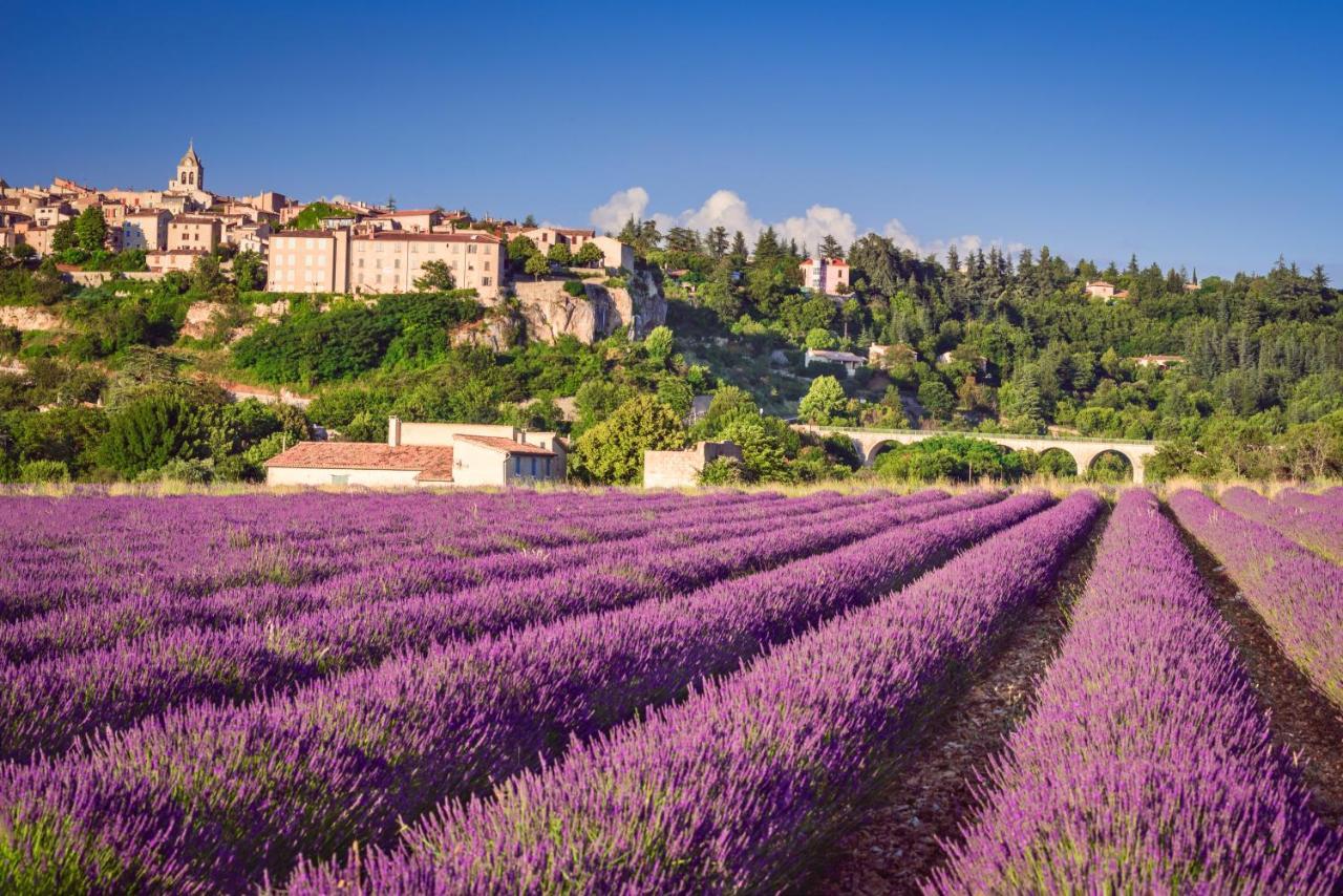 Apartment Provence Now *