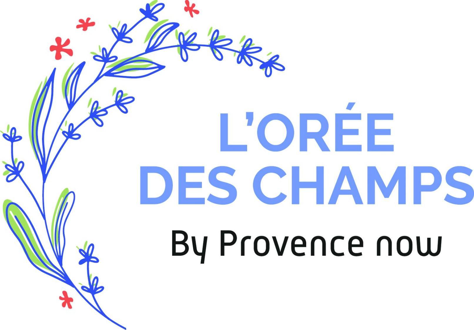 Apartment Provence Now